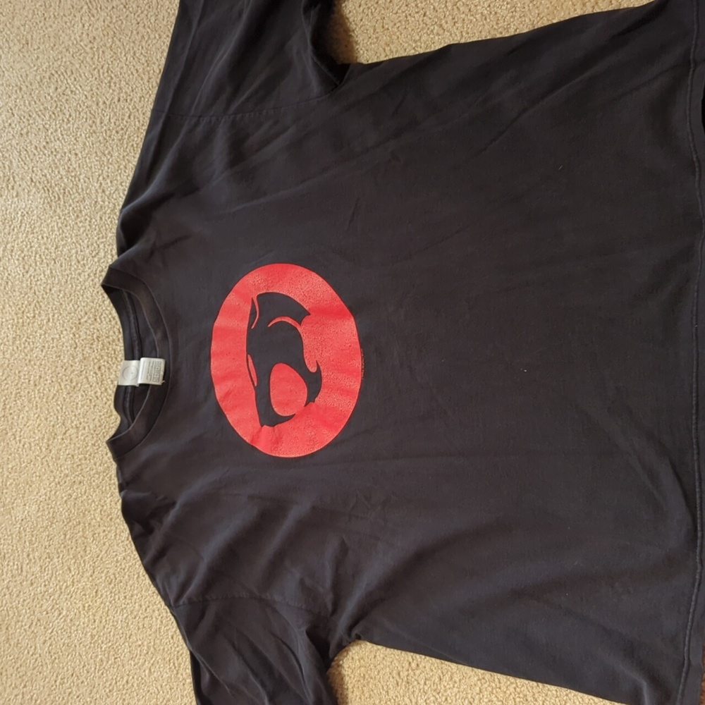 Vintage 1999 ThunderCats Short Sleeve Crew Neck Graphic Tee Black Red 2X